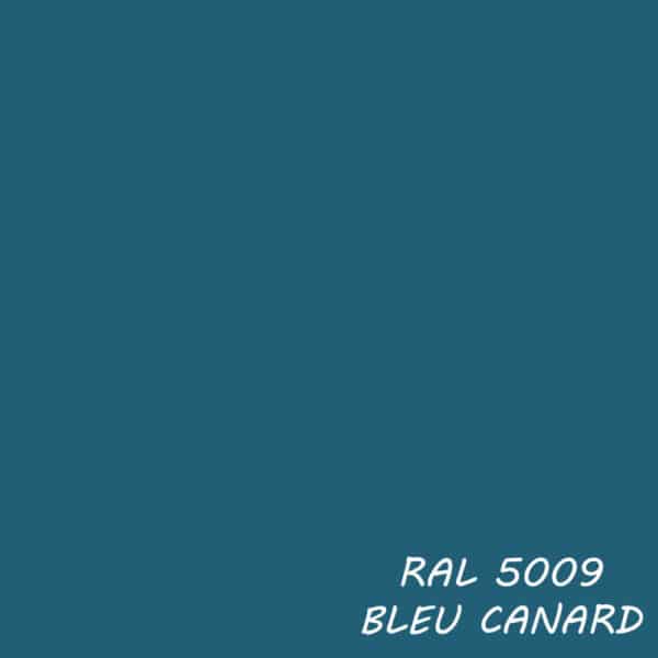 BLEU CANARD